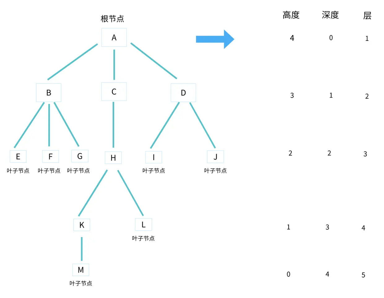 树的高度、深度、层