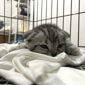 金刚小仓于2019-07-16 23:13发布的图片
