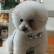 sorrymeika的个人资料头像