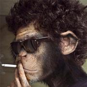 心予卿姿的个人资料头像