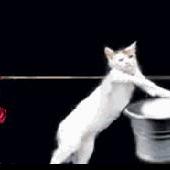 Vadaski于2019-07-17 22:19发布的图片