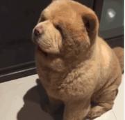 编程小兵的个人资料头像