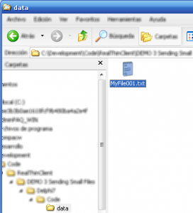 1563441688.png 11DEMO3FileInDataDirectory-272x300.png
