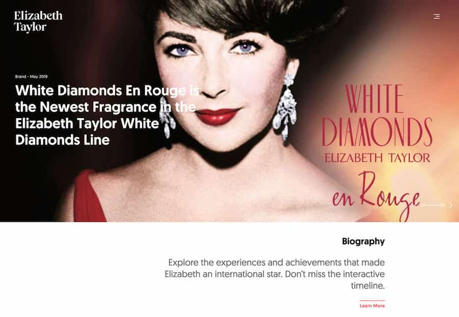 伊丽莎白•泰勒网站