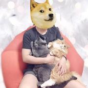 harvest的个人资料头像