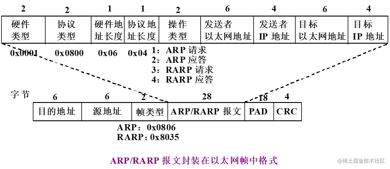ARP协议