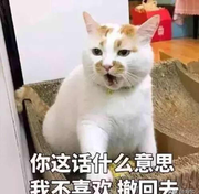 GG就是我的个人资料头像