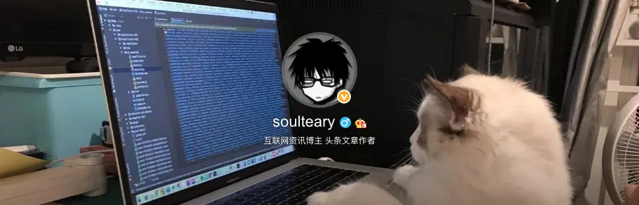 没有使用职业相关内容的认证