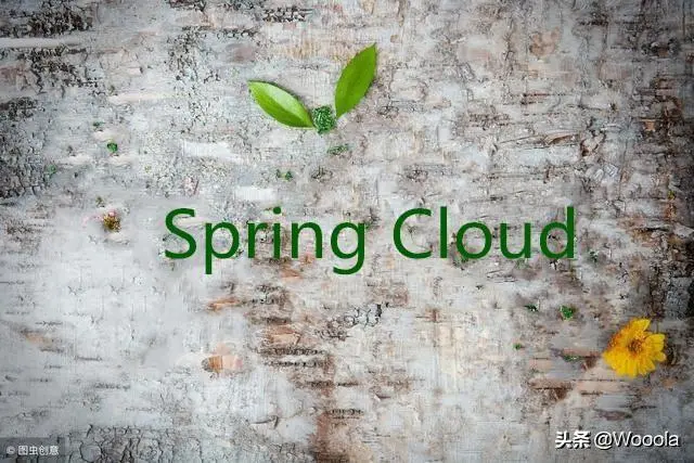SpringCloud06集成java发邮件功能