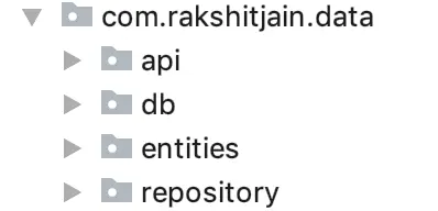 The data layer structure of the application