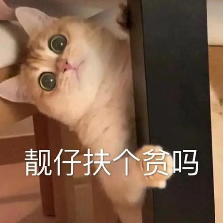 奏于2019-07-22 14:22发布的图片