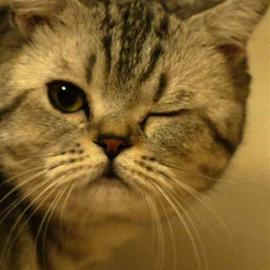 芫荽于2019-07-22 17:27发布的图片