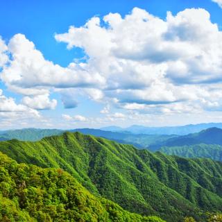 十里八乡有名de俊后生于2019-07-22 20:54发布的图片