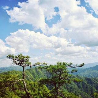 十里八乡有名de俊后生于2019-07-22 20:54发布的图片