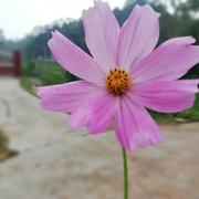 HelloworlD68604的个人资料头像