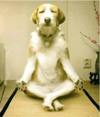 Python学习：电影场次查询API