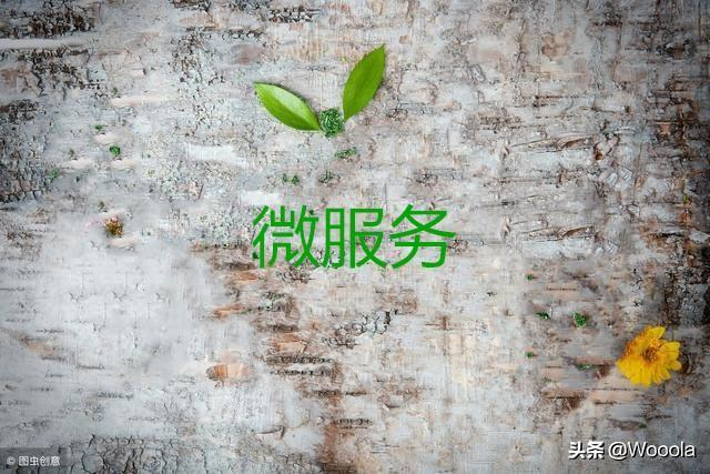 干活分享：微服务平台改造落地解决方案设计