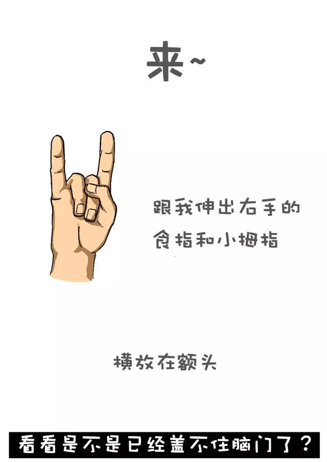 Python有话说:看来你们对编程和头发还一无所知