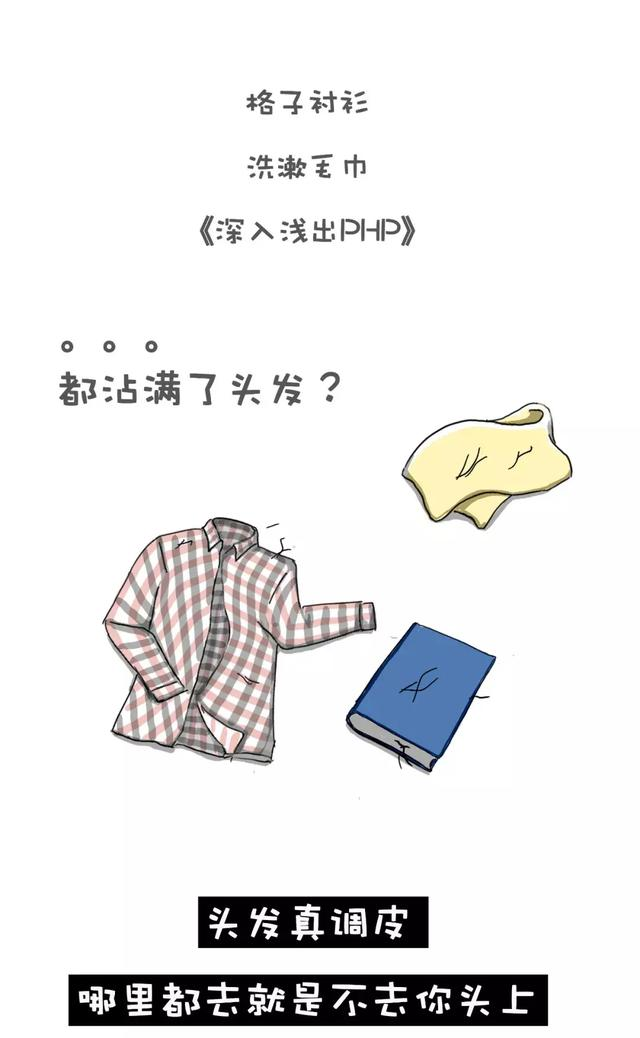 Python有话说:看来你们对编程和头发还一无所知