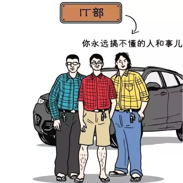 Python有话说:看来你们对编程和头发还一无所知