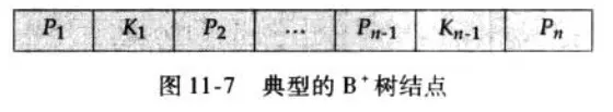 典型的B+树结点