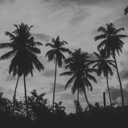 _x_y_的个人资料头像