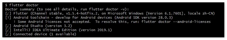 flutter-doctor