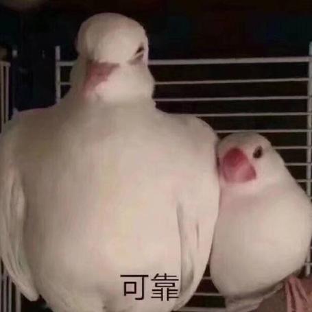 Leemts于2019-07-29 12:37发布的图片