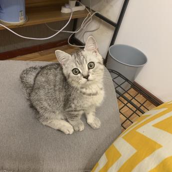 搬砖小蜗牛于2019-07-29 14:34发布的图片