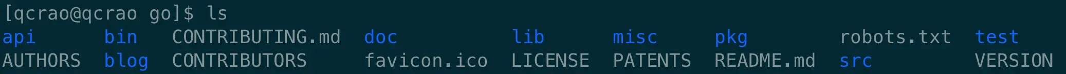 /usr/local/go