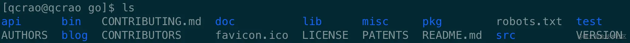/usr/local/go