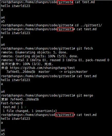 图19 拉取远程仓库内容