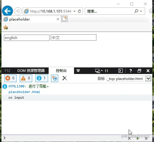 placeholder-fire-input-event