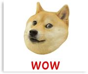 kady762的个人资料头像