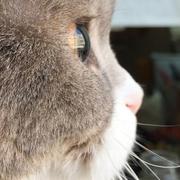 软糖的个人资料头像