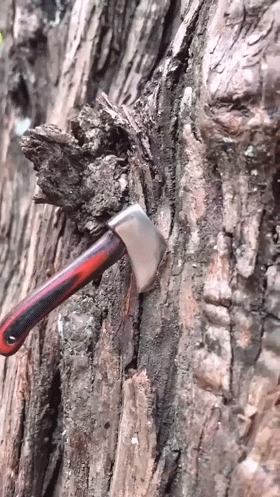 negrochn于2019-07-31 15:58发布的图片