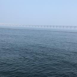 不知道起什么名字啊于2019-07-31 22:19发布的图片