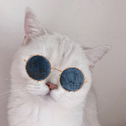 loopq的个人资料头像