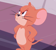 ZhangHhui的个人资料头像