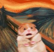 brycedd的个人资料头像