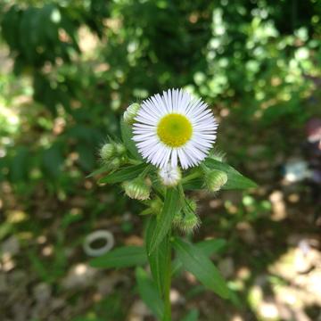 芦咕咕于2019-07-07 08:05发布的图片