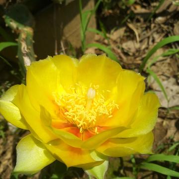 芦咕咕于2019-07-07 08:05发布的图片