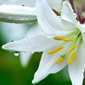 芦咕咕于2019-07-07 08:05发布的图片