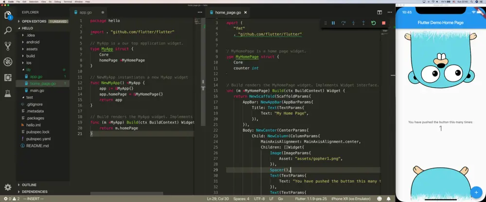VSCode 中 Go 版的 Flutter