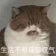 找不到api于2019-07-08 04:06发布的图片