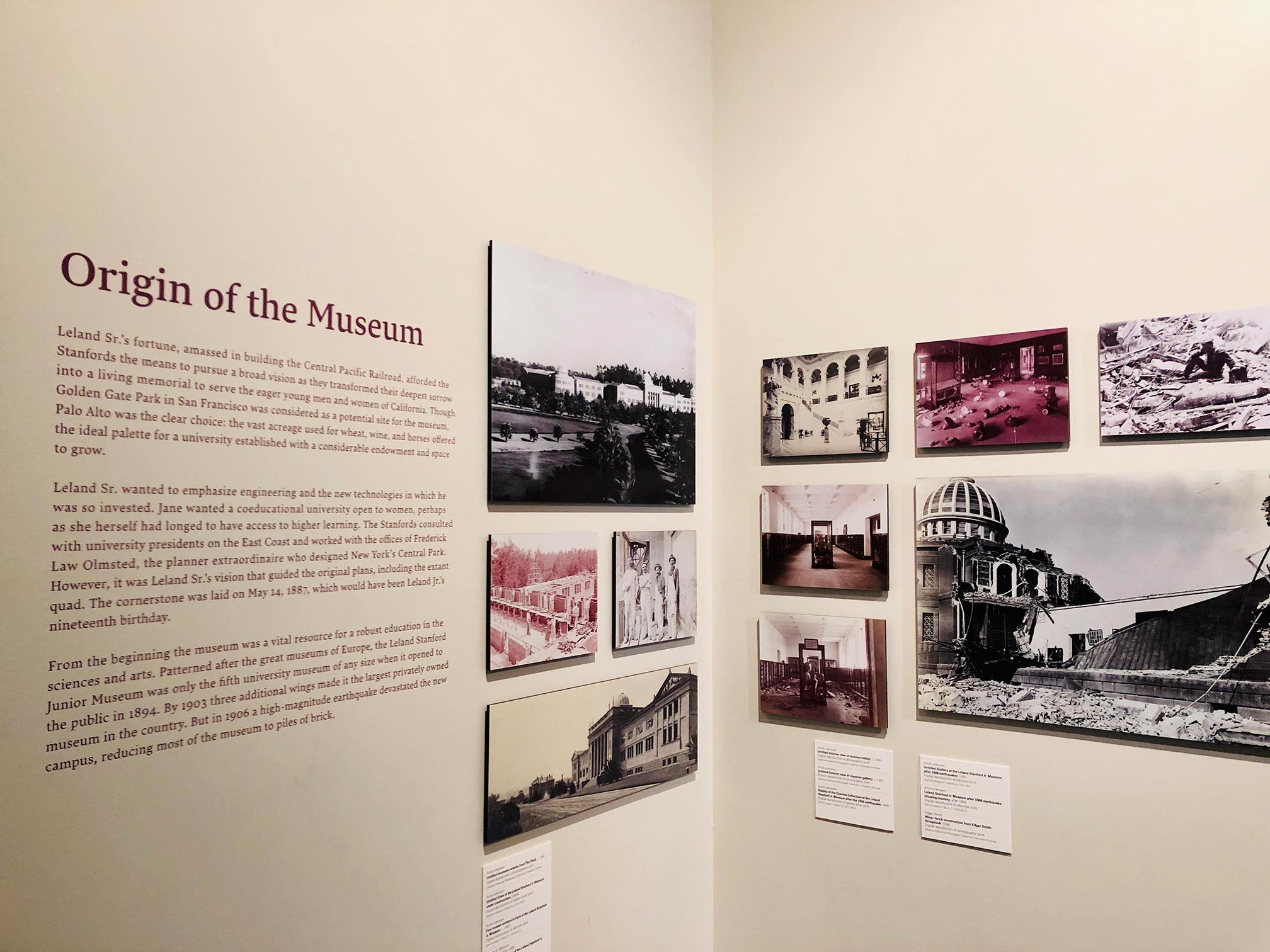 stanford-museum-origin