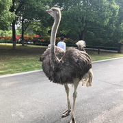 sonark的个人资料头像