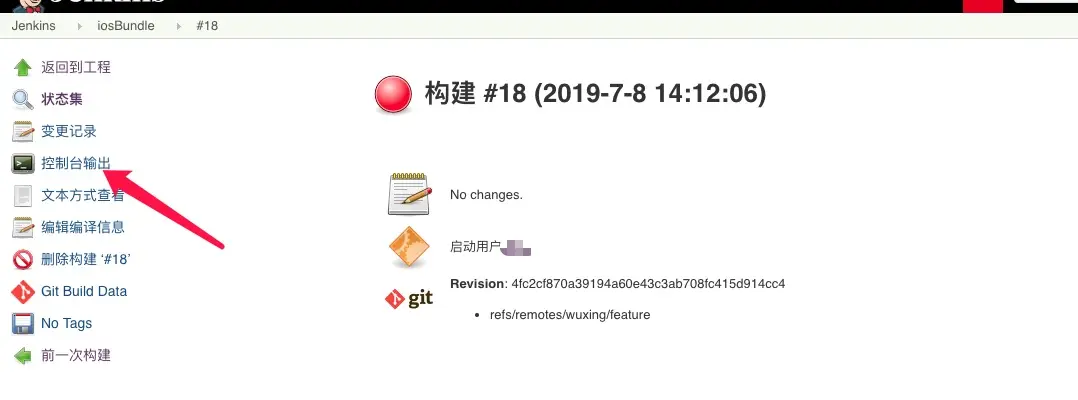 查看控制台输出