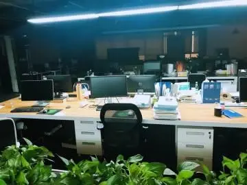 码农的人生：外包程序员的真实境况