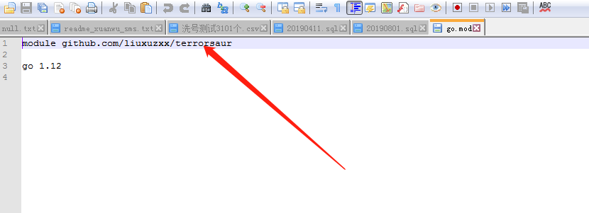 单纯使用go mod init命令